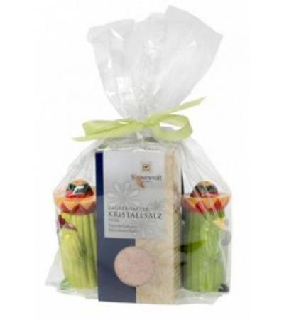 AROMALIFE Geschenset Gewürzstreuer Kaktus à 2 Stk