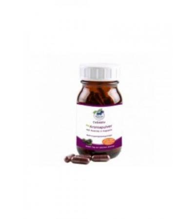 ARONIA ORIGINAL Bio Aroniatrest Kaps 480 mg 90 Stk