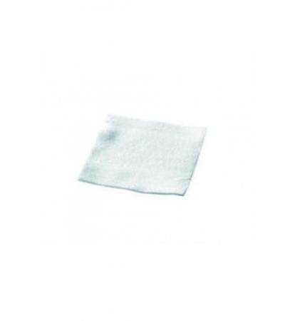 BIATAIN Alginate Ag 5x5cm 10 Stk