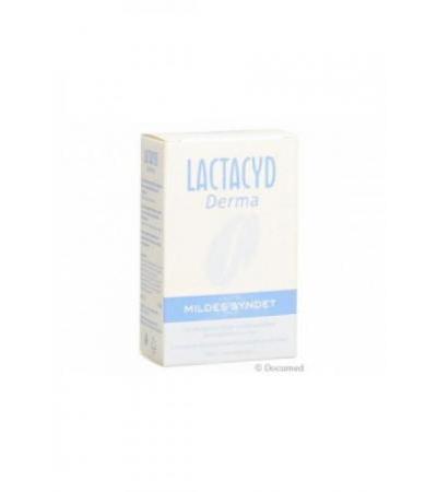LACTACYD DERMA mildes Syndet 100 g