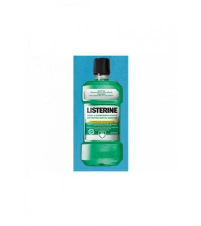 LISTERINE Mundspül Zahn u Zahnfleischschutz 500 ml