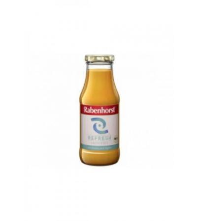 RABENHORST Refresh Smoothie Bio Fl 240 ml