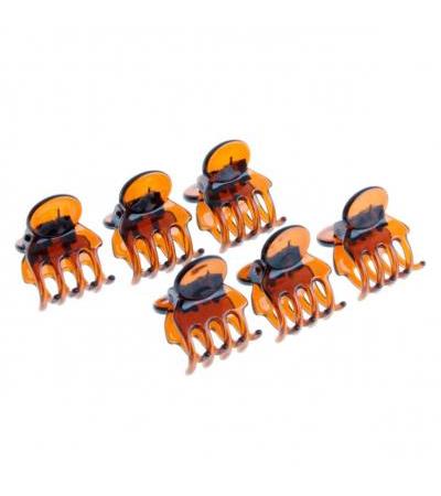 DailyGO - Klemme tortoise Kunststoff 1.5 cm