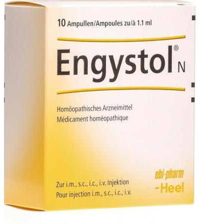 Энгистол Н 10 ампул 1.1 мл жидкий для инъекций